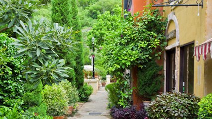 Sidewalk Accidents - Brooklyn, New York - Gary A. Zucker