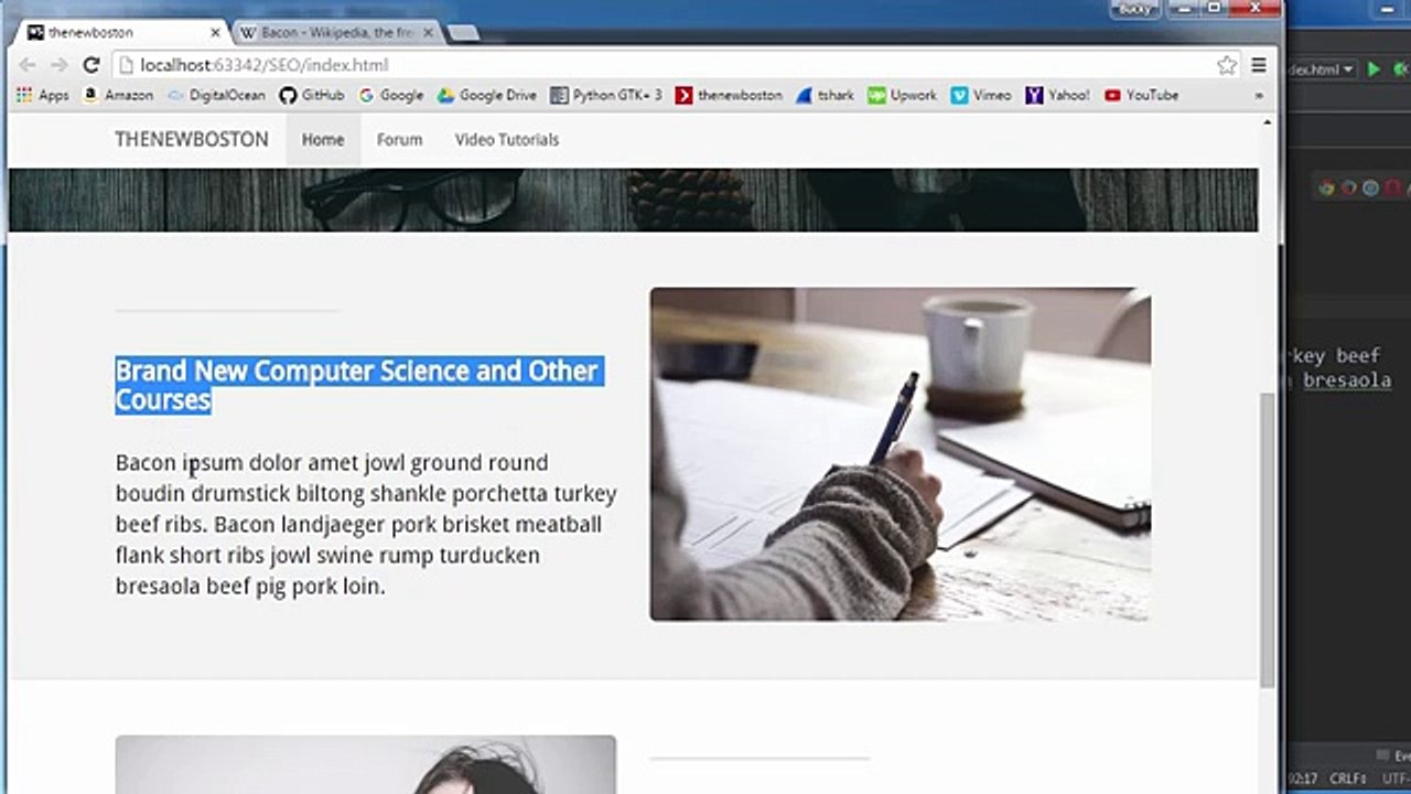 SEO for Beginners Tutorial - 6 - Headings and Images 2016