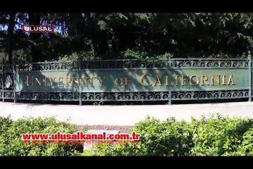 Bilim insanları kök hücre tedavisiyle felçli fareleri hareketlendirdi