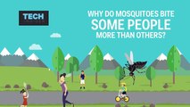 Why mosquitoes bite some people