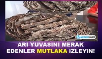 Arı Yuvasını Merak Edenler Mutlaka İzleyin!