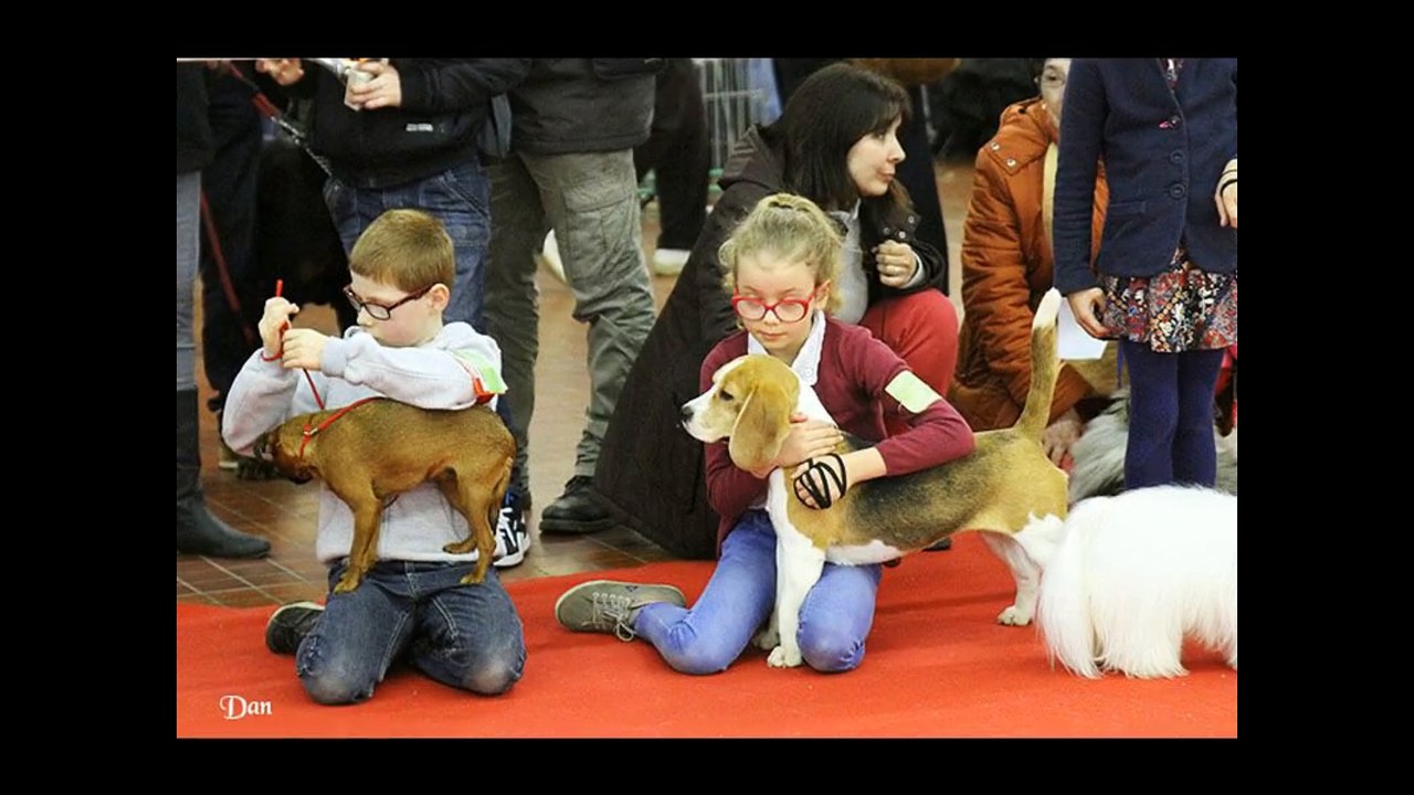 JUNIOR HANDLING ANGERS 2016