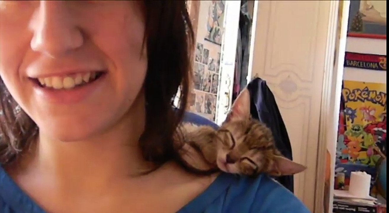 My adorable kitten Kiwi falling asleep in my shoulders