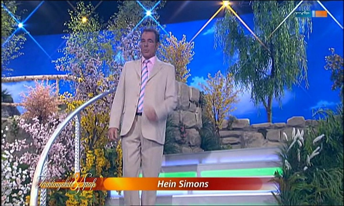 Hein Simons - Bunte Tulpen 2009