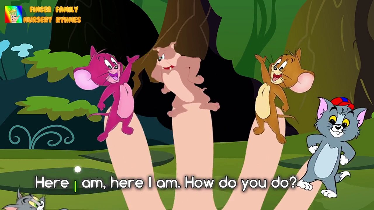 TOM AND JERRY - Finger Family Song [Nursery Rhyme] Toy PARODY Parody | Finger Family Fun