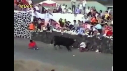 Animal Attack Compilation Caught On Camera 2014