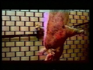 Fin de rituel . Bande Hi8 . 2 mn 40 . 1999 .