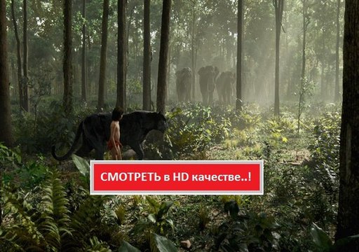 КНИГА ДЖУНГЛЕЙ 2016. Смотреть полный фильм онлайн в хорошем качестве HD