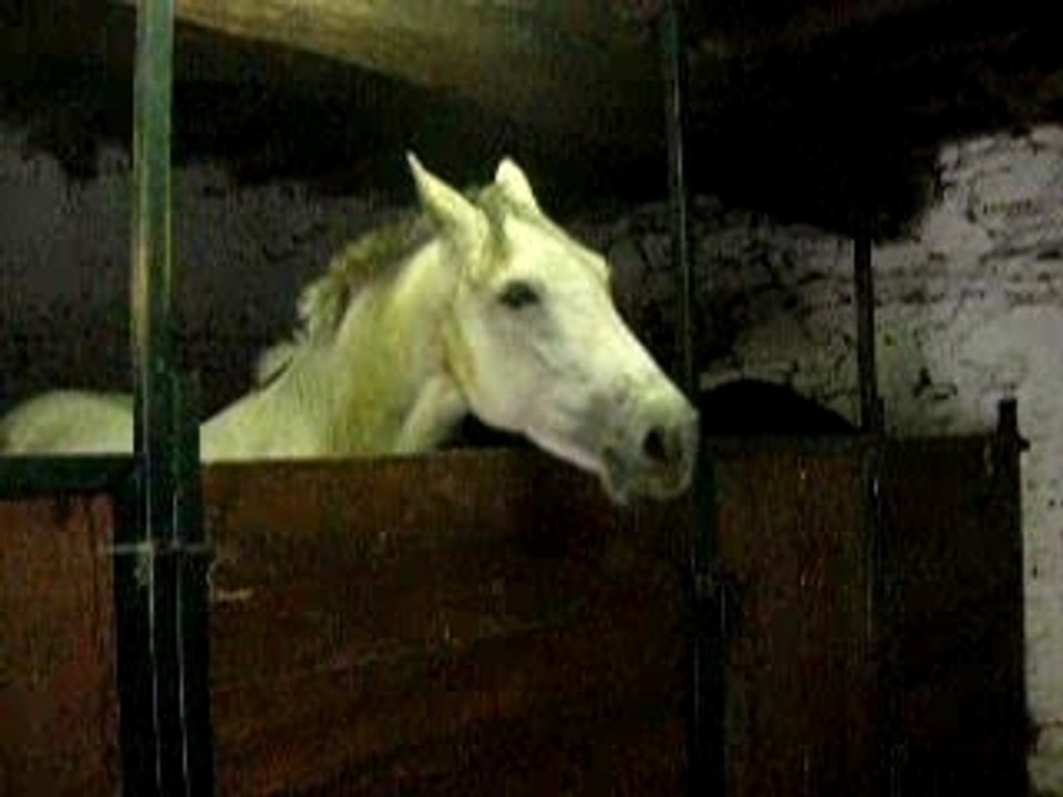 Pictures 031
