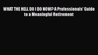 Read WHAT THE HELL DO I DO NOW? A Professionals' Guide to a Meaningful Retirement Ebook