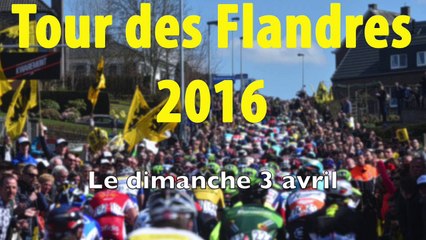 Tour des Flandres 2016 - Zoom sur les Favoris de la 100e édition