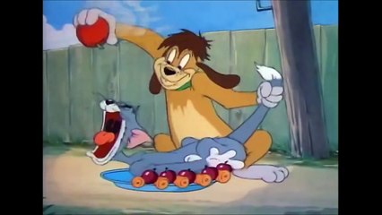 Tom and Jerry, 35 Episode - The Truce Hurts (1948)