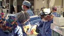 Artery vs. Vein Bypass - Heart and Vascular Services at Texas Health Presbyterian Hospital Dallas