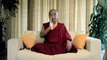 7 Meditation advice for beginners - Mingyur Rinpoche from WhatMeditationReallyIs on Vimeo