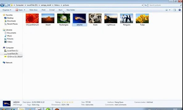 display image from mysql database-php-CSS-Mysql - YTPak.com