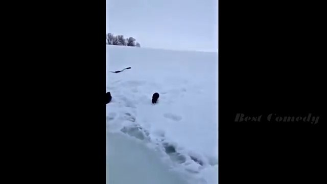 Funny Videos 2016 – Best Funny Jokes 2016 – Best Jokes Ever, Funny Clips Compilation 2016