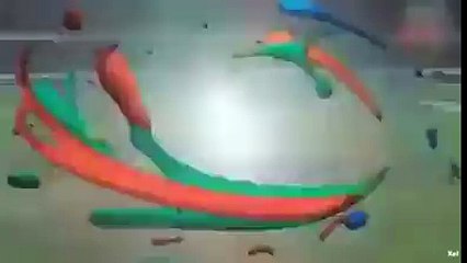 Fielding Competition You Have Never seen before