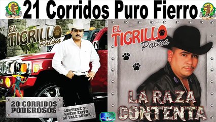 El Tigrillo Palma 21 Corridos Tuba Y Guitarra Completos Antaño mix
