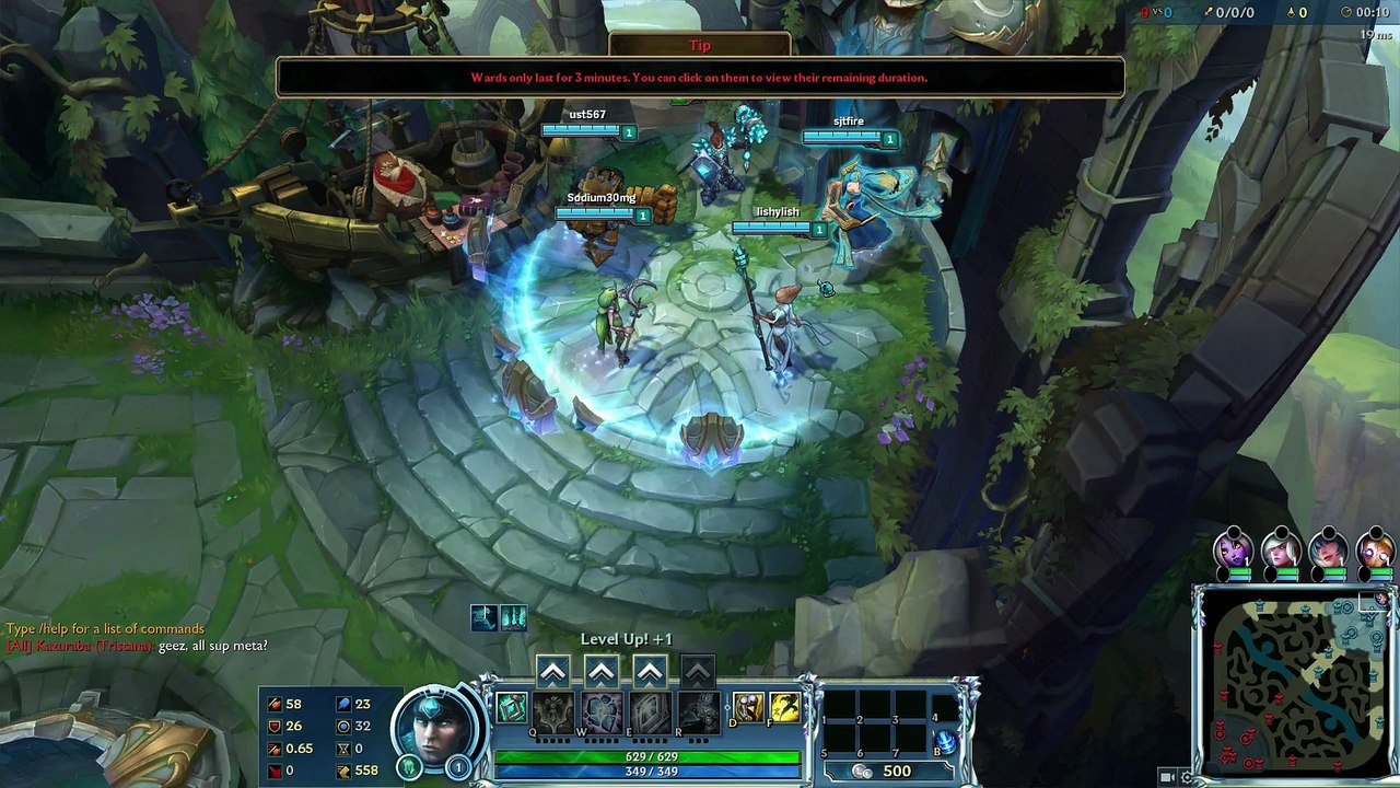 That Support FUN LOL