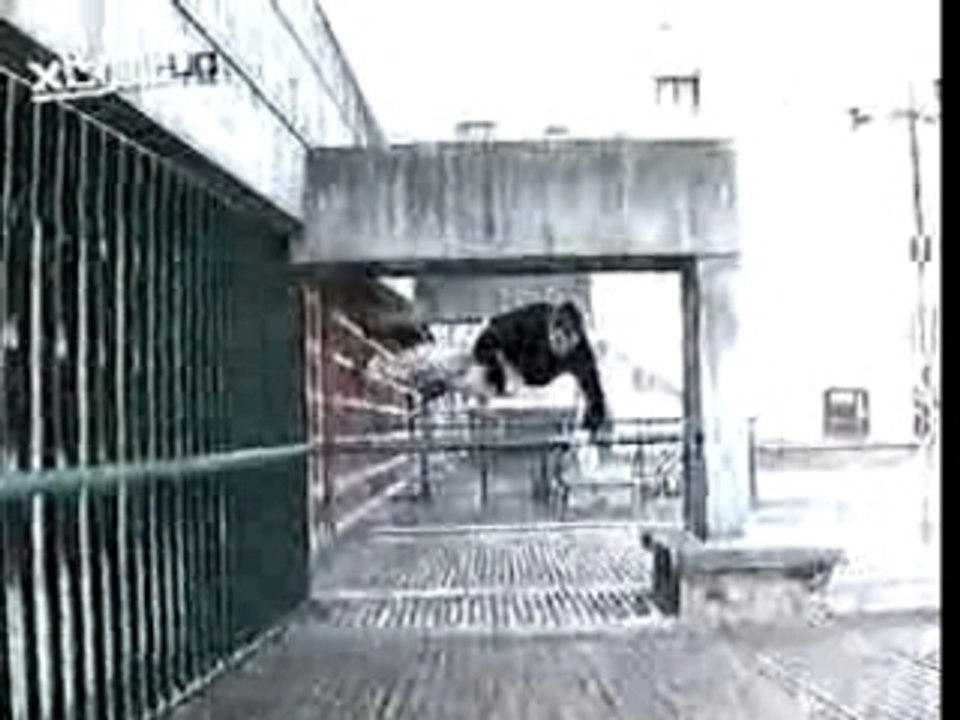 Le Parkour - David Belle Live2