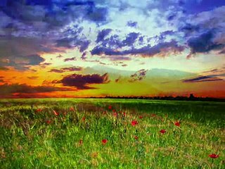 El Amor Llegó - Oscar Medina (Pista)