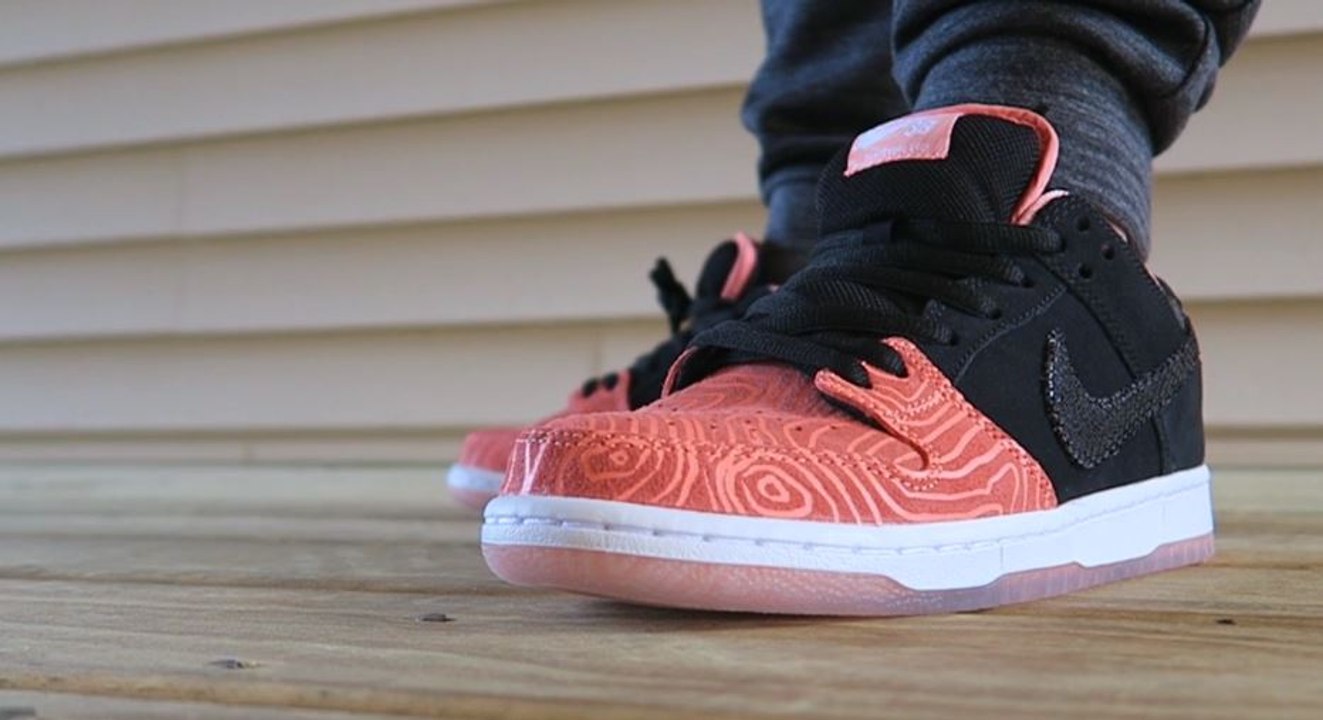 Premier x Nike SB Dunk Low Salmon Sneaker Review + On Foot Look
