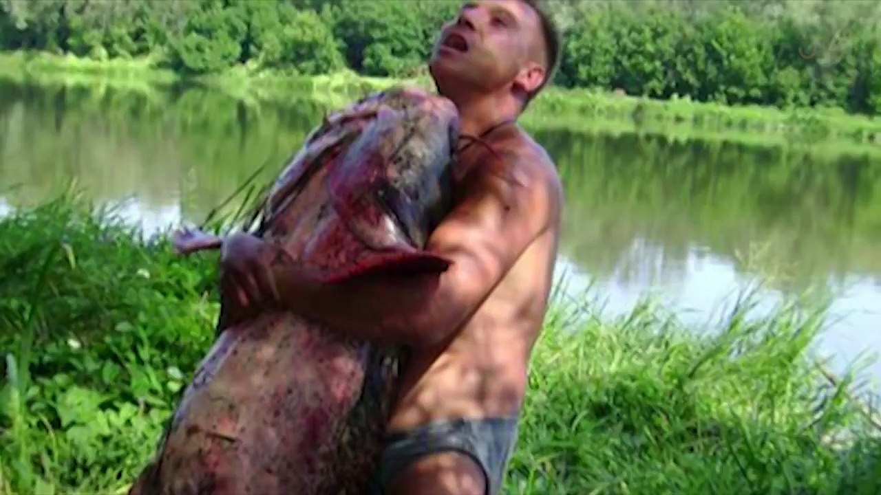 CATFISH VS PIGEON NEW AMAZING FOOTAGE by CATFISHING WORLD