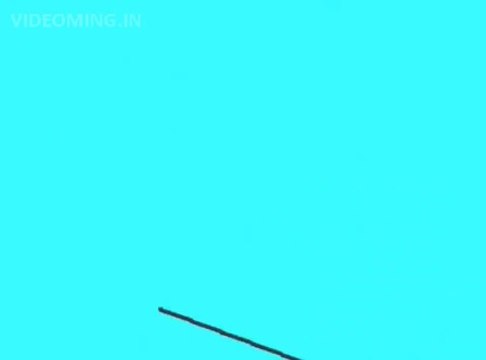 Angry Birds Funny (Animated Parody) HD