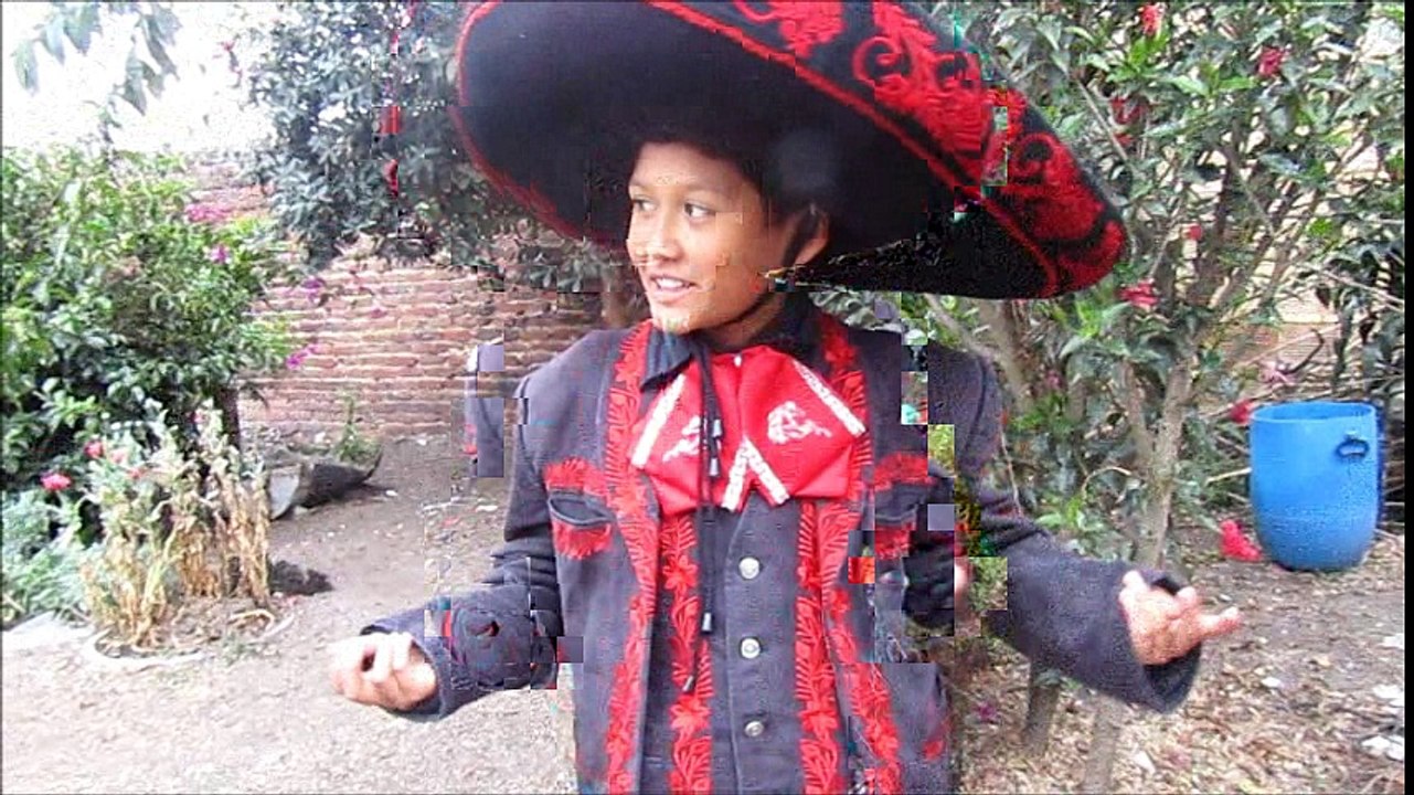 Cuando yo queria ser grande de Vicente Fernandez interpretación Felipe Gañan