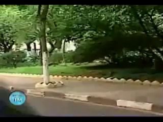 funny videos and prank calls