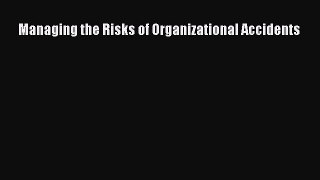 Download Managing the Risks of Organizational Accidents PDF Free