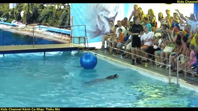 Cá Heo - Xiếc Cá Heo - Liên Khúc Nhạc Thiếu Nhi Remix Sôi Động
