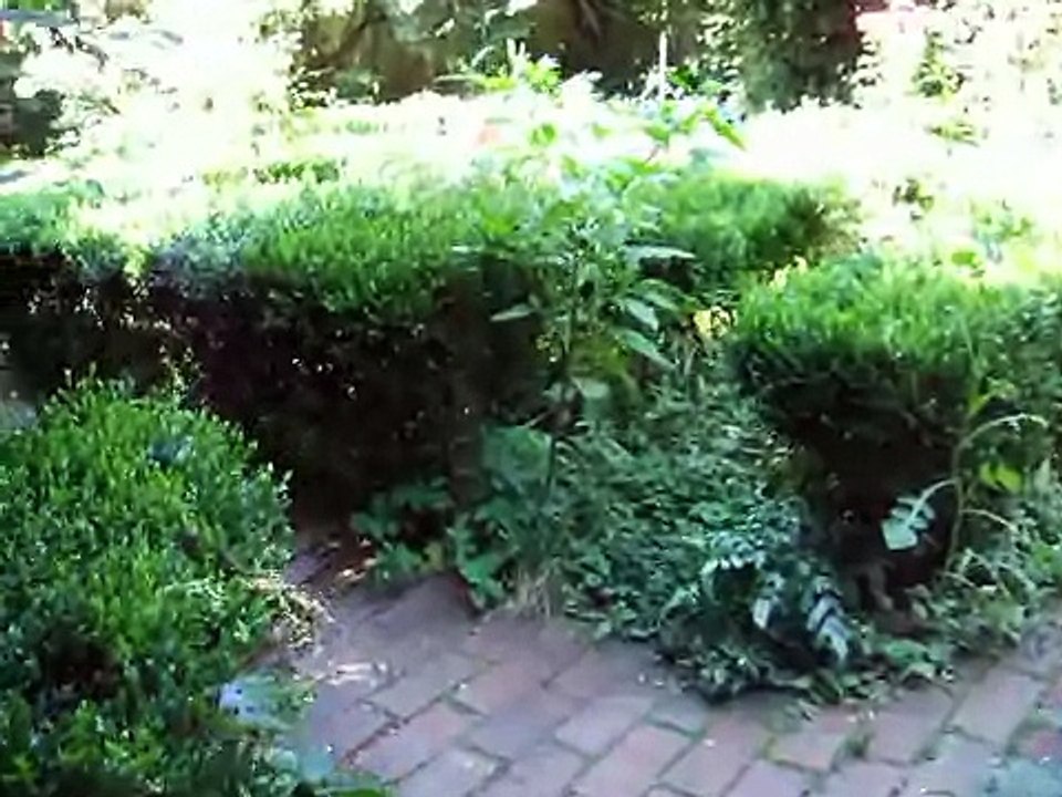 CZB TRAVEL. Scart. Garden Tour. 11.07.2010.avi