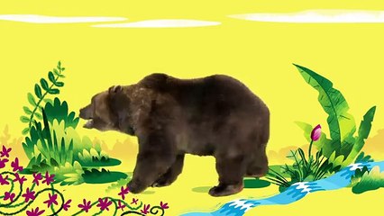 Animal Songs Big Brown Boogieing Bear, by Hello Channel