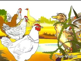 Urdu Cartoon Kahani-Battakh or Murgheyaan
