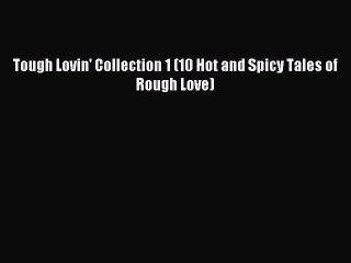 Download Tough Lovin' Collection 1 (10 Hot and Spicy Tales of Rough Love) PDF Online