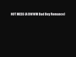 Read HOT MESS (A BWWM Bad Boy Romance) Ebook Free