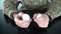 Science Experiments you can do with Eggs