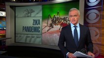 NIH official: Zika outbreak spreading explosively