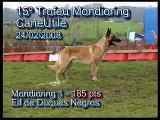 15 T Mondioring CaneUtile - Elf Duques Negros-Celso Alves