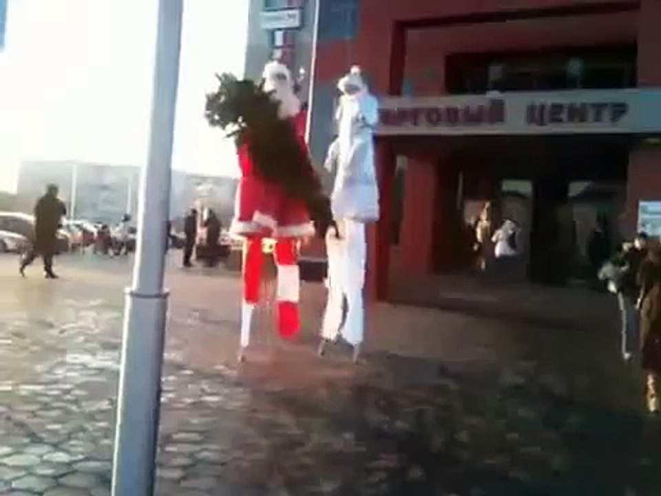 украл елку