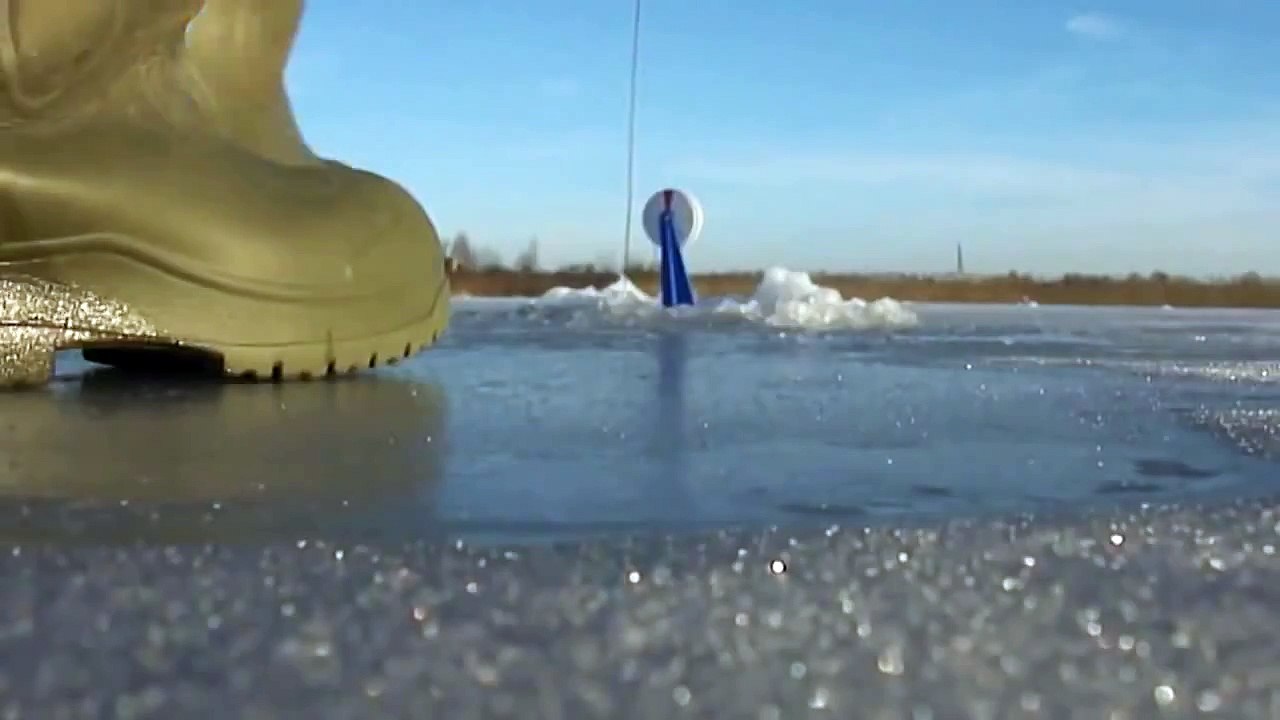Успел