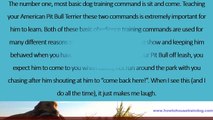 Pit Bull Terrier Dog Training - Lessons From An Expert