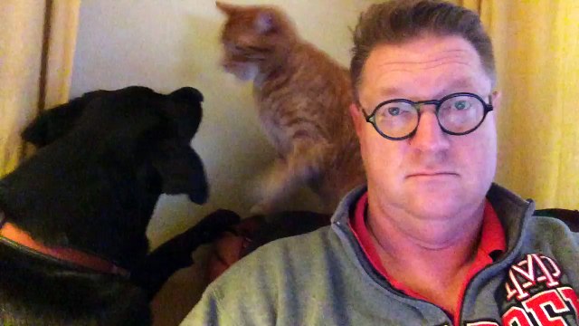 Il se filme avec son chat et son chien qui se chamaillent... Pire que des gamins