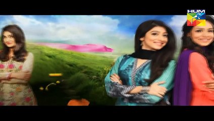 Haya Kay Daman Main Episode 02 Promo HUM TV Drama 30 March 2016