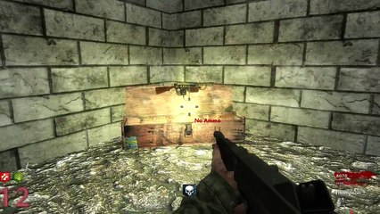 YOUALWAYSWIN ZOMBIE FORTRESS (Call of Duty Zombies)