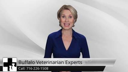 [www.buffaloveterinarianexperts.com]Buffalo Veterinarian Experts WilliamsvillePerfect5 Star Review by Jay S.