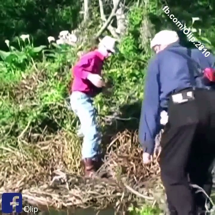 SELECTIE 2016 CU CELE MAI AMUZANTE SI HAIOASE FAZE  SURPRINSE CU CAMERA ASCUNSA ( MORI DE RAS )