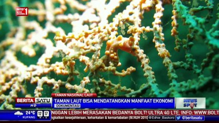 Jokowi: Taman Laut Nasional Berpotensi Besar Tingkatkan Pariwisata