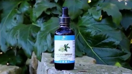 INFOWARS Nightly News Jakari Jackson Friday 3042016 Plus Special Reports 23